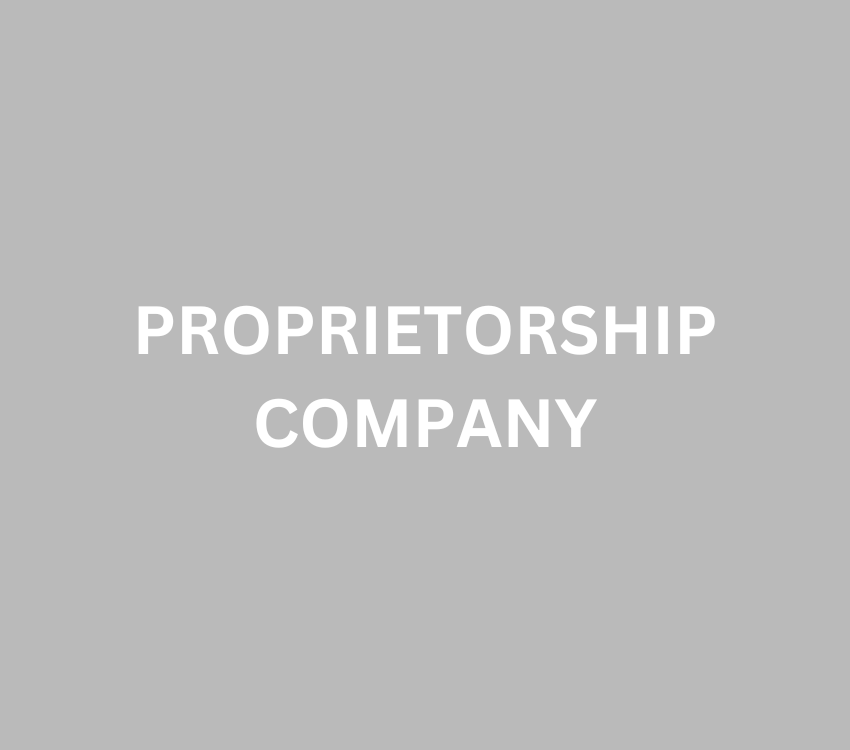 Proprietorship Company